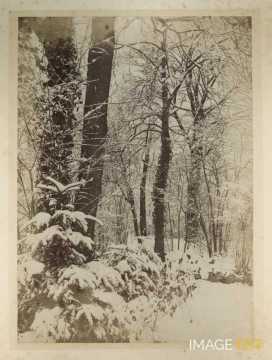 Paysage sous la neige