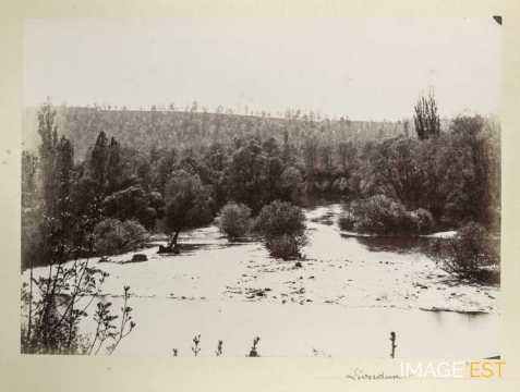 La Moselle (Liverdun)