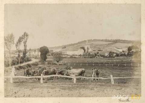 Urville (Vosges)