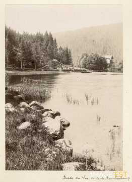 Bords du lac de Gérardmer (Vosges)