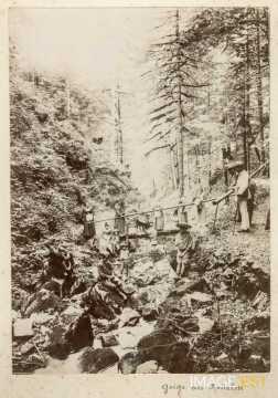 Gorge des Roitelets (Gérardmer)