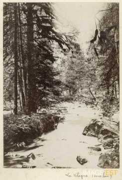 La Vologne (Vosges)