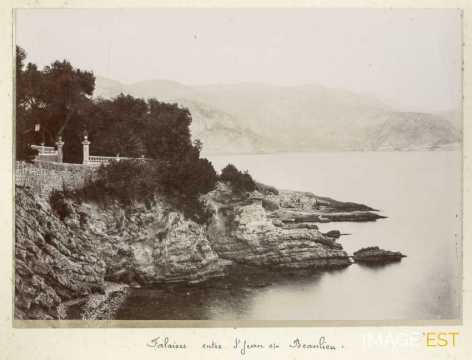 Falaises entre Beaulieu et Saint-Jean (Nice)