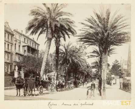 Avenue des Palmiers (Hyères)