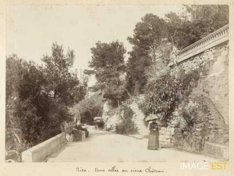 Allée du vieux château (Nice)