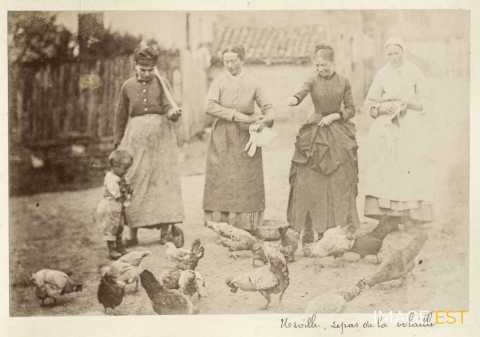 Repas de la volaille (Urville)