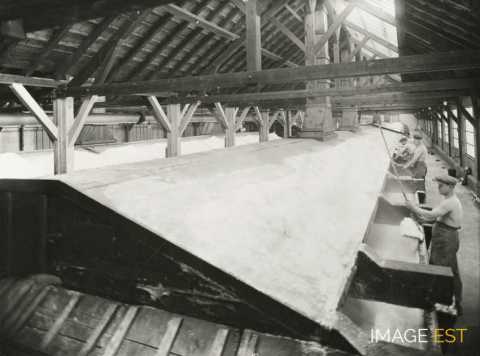 Mine de sel et saline de Saint-Nicolas (Varangéville)