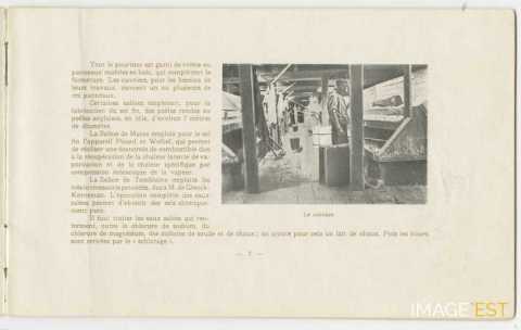 Le Sel à l'Exposition : Nancy 1909