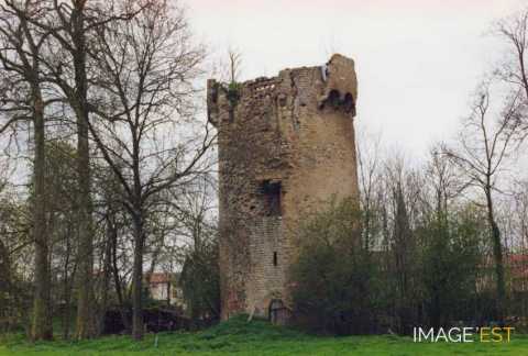 Tour du château (Lenoncourt)