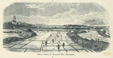 Marais salants du Bourg de Batz (Bretagne)