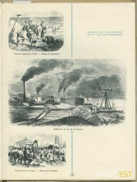 Les salines du Bourg de Batz
