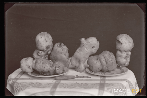 Pommes de terre (Le Val-d'Ajol)