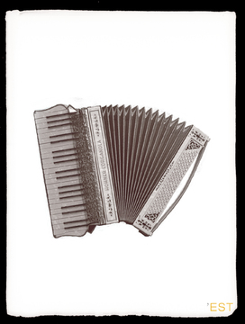 Accordéon Hohner