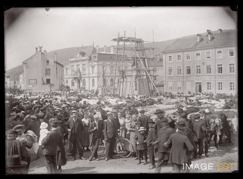 Marché aux bestiaux (Le Val-d'Ajol)