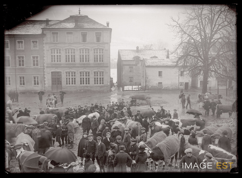 Marché aux bestiaux (Le Val-d'Ajol)
