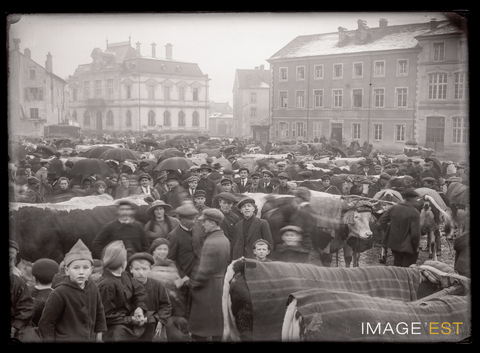 Marché aux bestiaux (Le Val-d'Ajol)