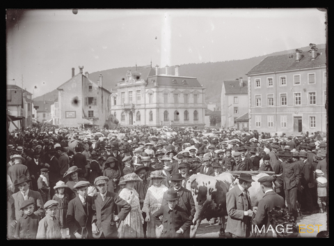 Marché aux bestiaux (Le Val-d'Ajol)