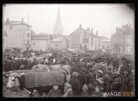 Marché aux bestiaux (Le Val-d'Ajol)