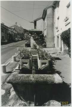 Fontaine (Vandoeuvre-lès-Nancy)