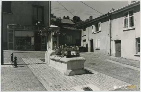 Fontaine (Vandoeuvre-lès-Nancy)