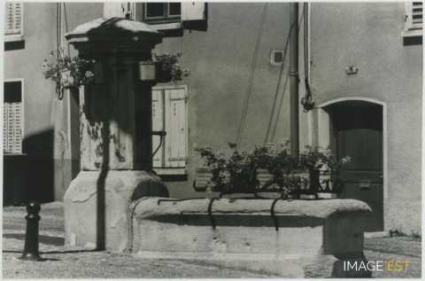 Fontaine (Vandoeuvre-lès-Nancy)