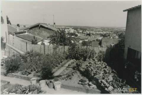 Potager (Vandoeuvre-lès-Nancy)