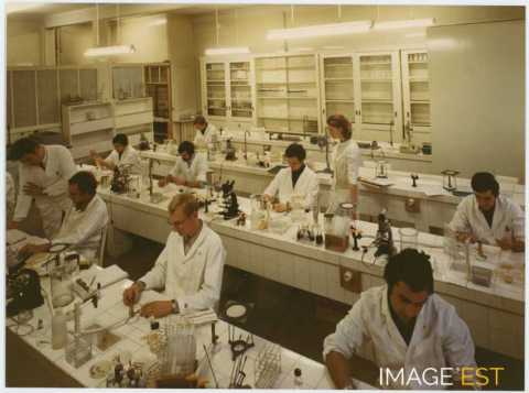 Étudiants de l'Ensaia (Nancy)