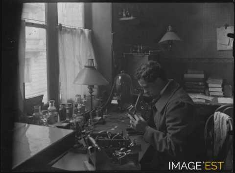 Observations au microscope (Nancy)