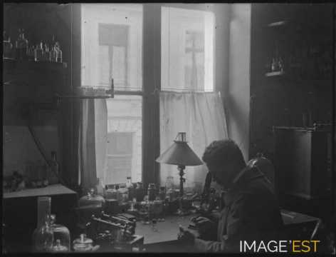 Observations au microscope (Nancy)