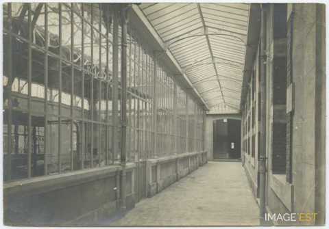 Verrière de l'Institut chimique (Nancy)