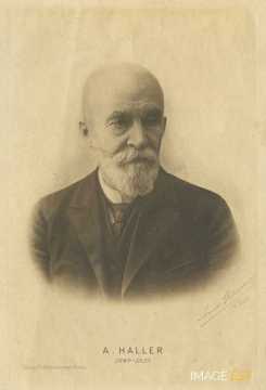 Albin Haller (1849-1925)