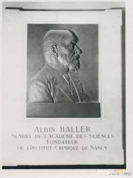 Albin Haller (1849-1925)