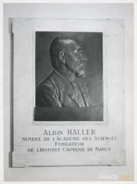 Albin Haller (1849-1925)
