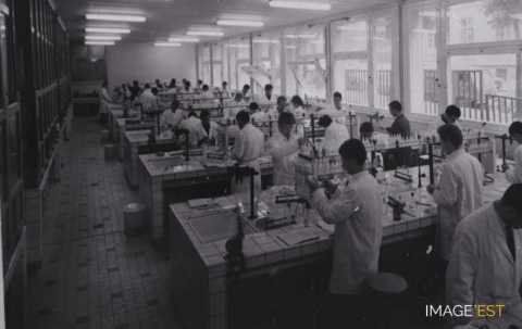 Travaux pratiques (Nancy)