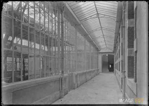 Verrière de l'Institut chimique (Nancy)