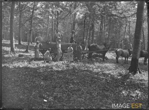 Travailleurs forestiers (Landaville)
