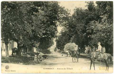 Avenue des Tilleuls (Commercy)