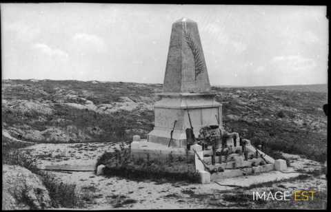 Monument du Mort-Homme (Chattancourt)