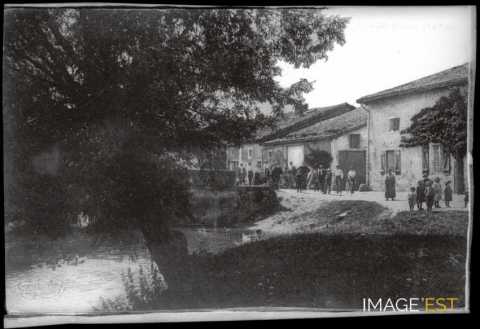 Au bord d'un étang (Meuse)