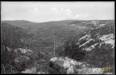 Ravin de Sonvaux (Les Éparges)