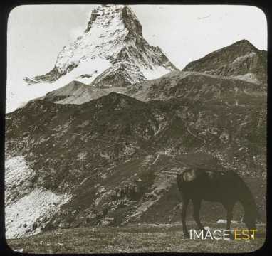 Mont Cervin (Zermatt)