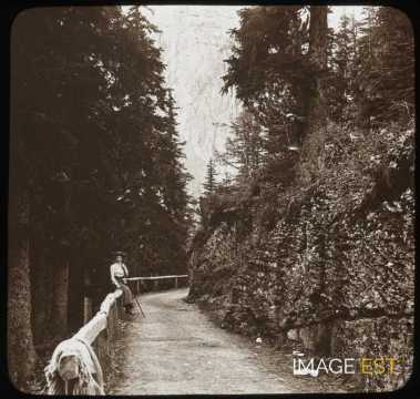 Sentier de promenade (Gummi)