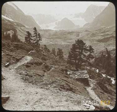Glacier de Zmutt (Suisse)