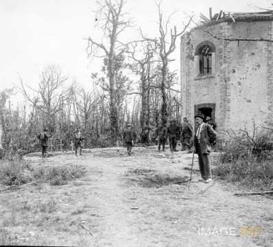 Au bois Belleau (Aisne)
