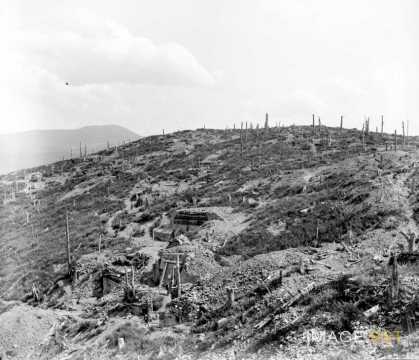Pentes de montagne (Haut-Rhin)