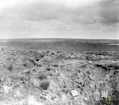 Trou d'obus au Chemin des Dames (Aisne)