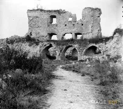 Château en ruines (Coucy-le-Château-Auffrique)