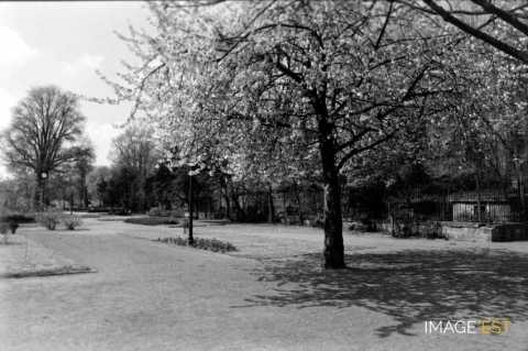 Jardin rue Belle-Isle (Metz)