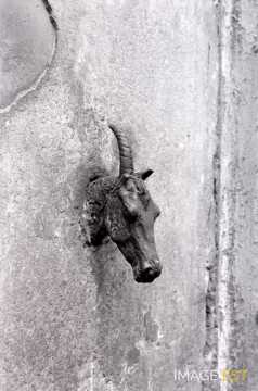 Licorne servant d'attache à chevaux (Metz)