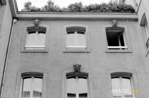 Rue du Chanoine-Collin (Metz)